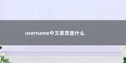 username中文意思是什么