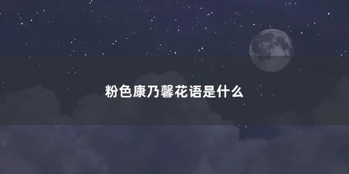 粉色康乃馨花语是什么