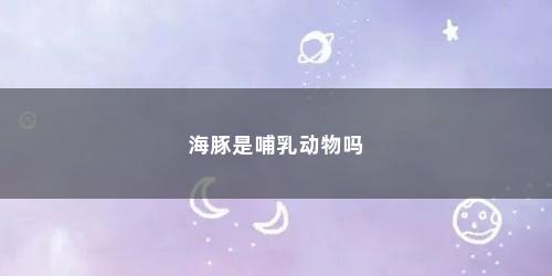 海豚是哺乳动物吗