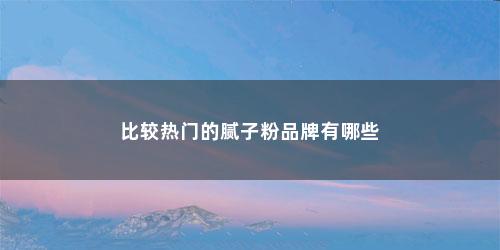 比较热门的腻子粉品牌有哪些