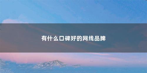 有什么口碑好的网线品牌