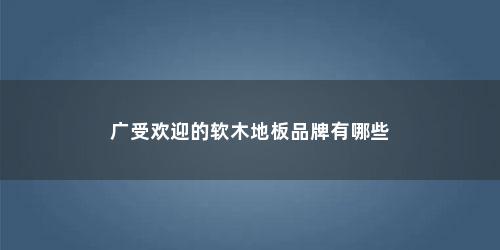 广受欢迎的软木地板品牌有哪些