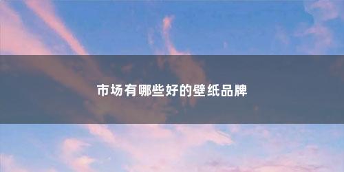 市场有哪些好的壁纸品牌