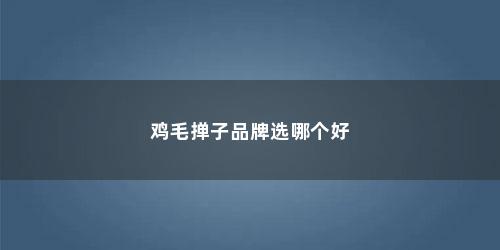 鸡毛掸子品牌选哪个好