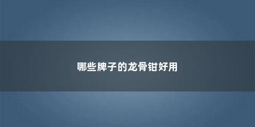 哪些牌子的龙骨钳好用