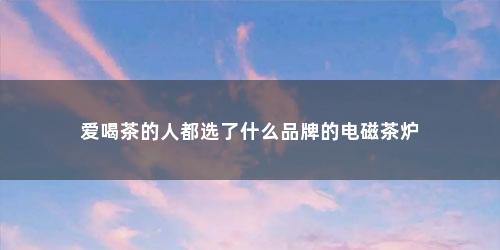 爱喝茶的人都选了什么品牌的电磁茶炉