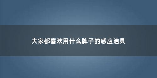 大家都喜欢用什么牌子的感应洁具