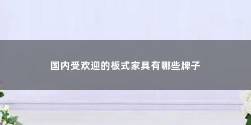 国内受欢迎的板式家具有哪些牌子