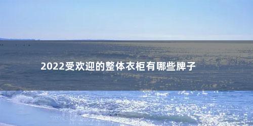 2022受欢迎的整体衣柜有哪些牌子