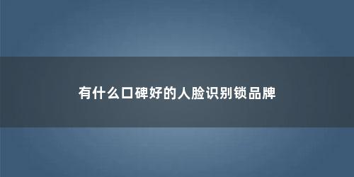 有什么口碑好的人脸识别锁品牌
