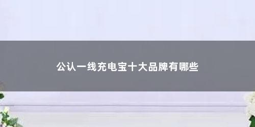 公认一线充电宝十大品牌有哪些