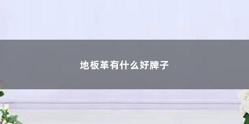 地板革有什么好牌子 地板革有什么好牌子(什么牌子的地板革比较好)