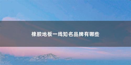 橡胶地板一线知名品牌有哪些