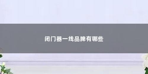 闭门器一线品牌有哪些